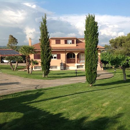 Bed & Breakfast La Volpe E L'Uva Santa Marinella Exterior foto