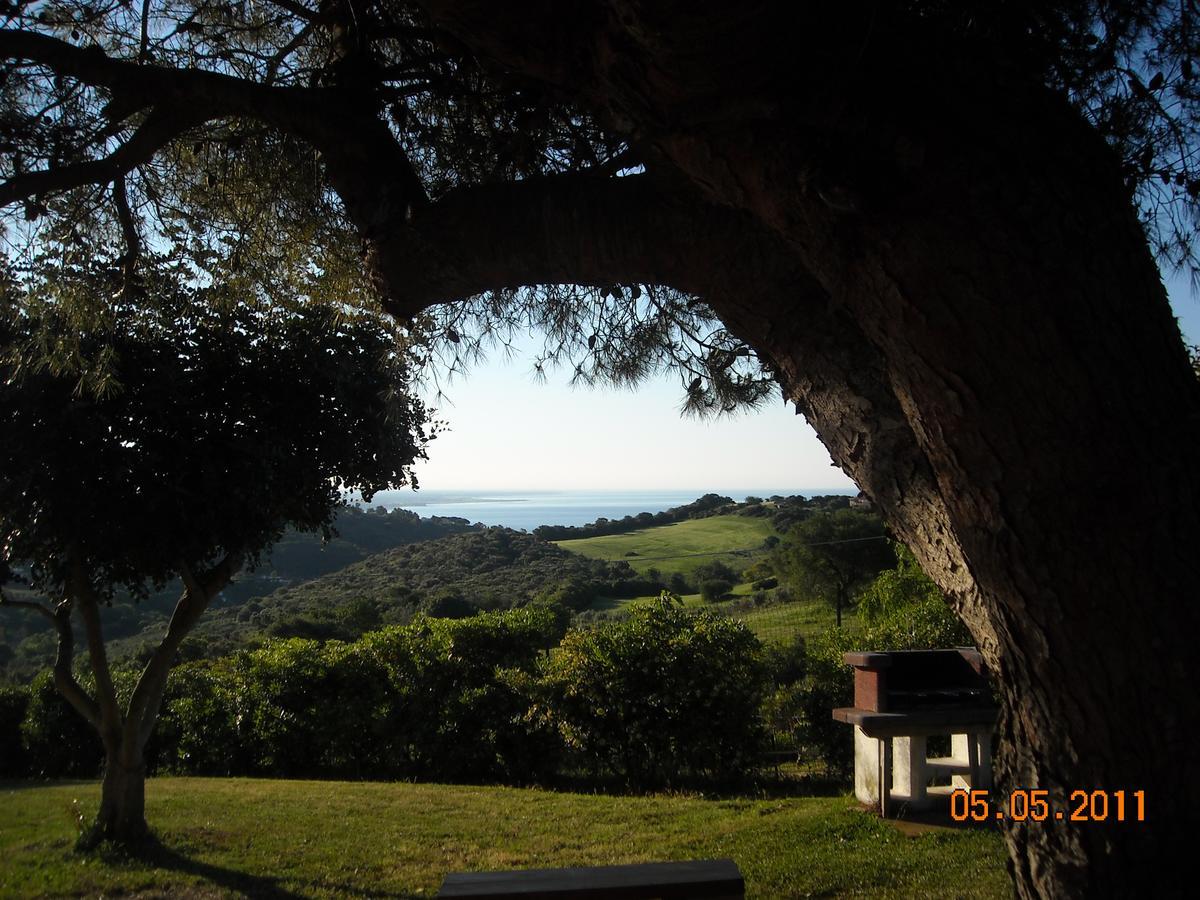 Bed & Breakfast La Volpe E L'Uva Santa Marinella Exterior foto