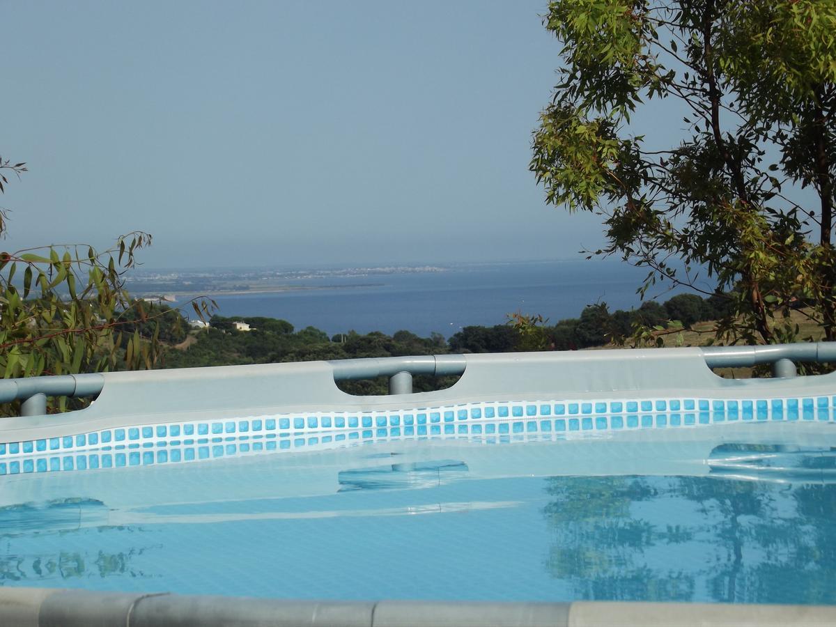 Bed & Breakfast La Volpe E L'Uva Santa Marinella Exterior foto